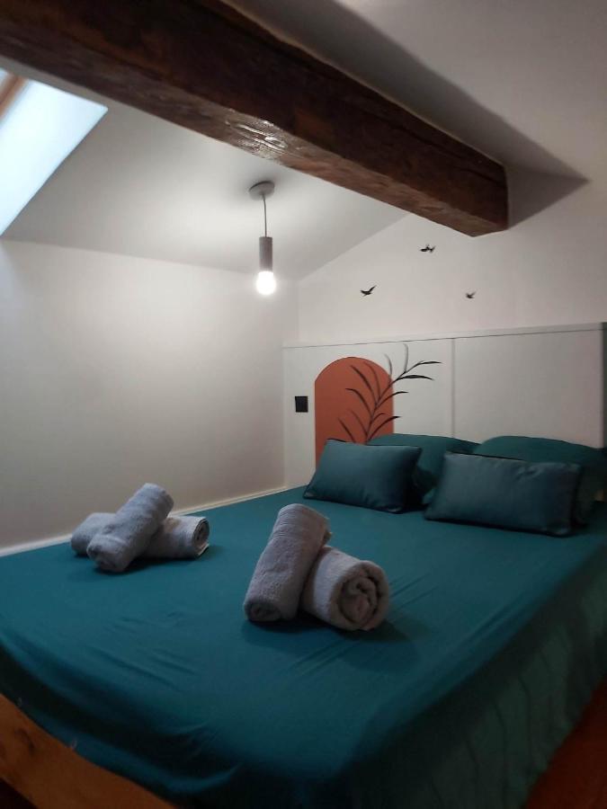 Le Studio D'Emma Apartment Romans-sur-Isere Bagian luar foto