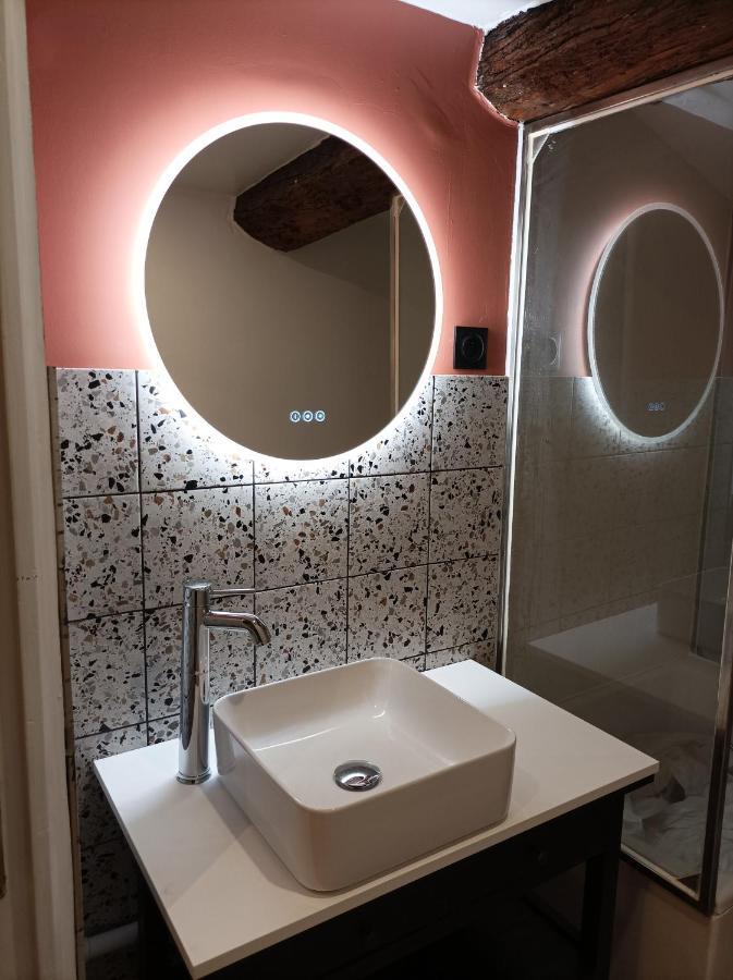 Le Studio D'Emma Apartment Romans-sur-Isere Bagian luar foto